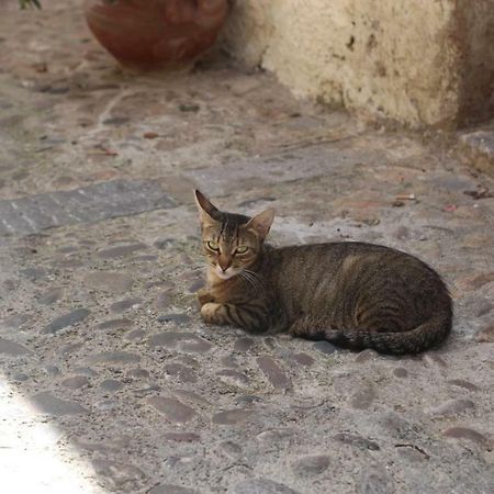 Dolce Aida Apartman Cefalù Kültér fotó